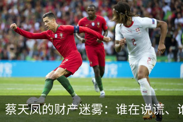 蔡天凤的财产迷雾：谁在说谎、谁在赚钱？
